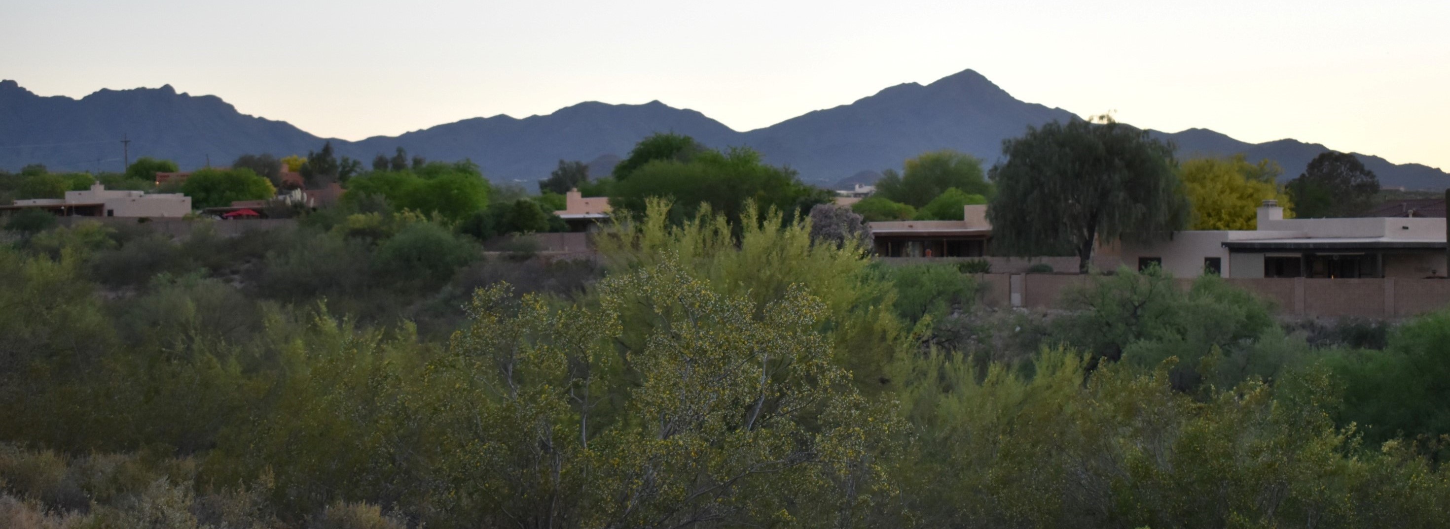 Desert View