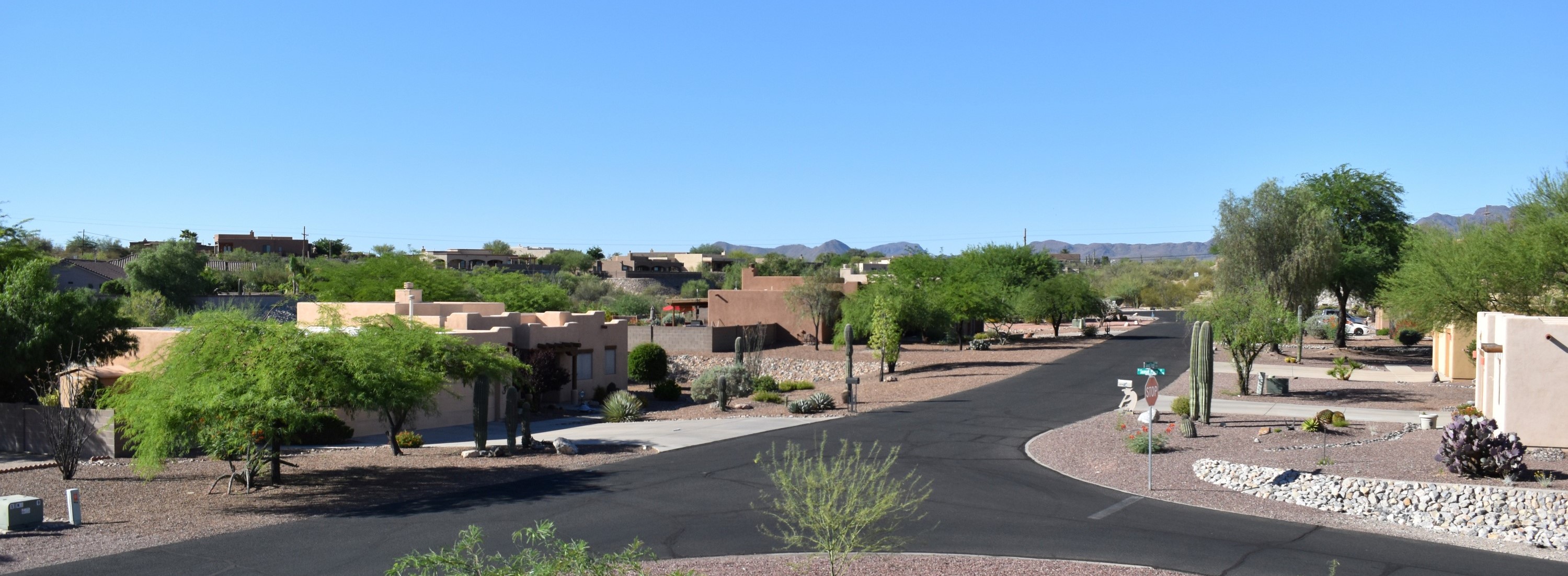 Desert View