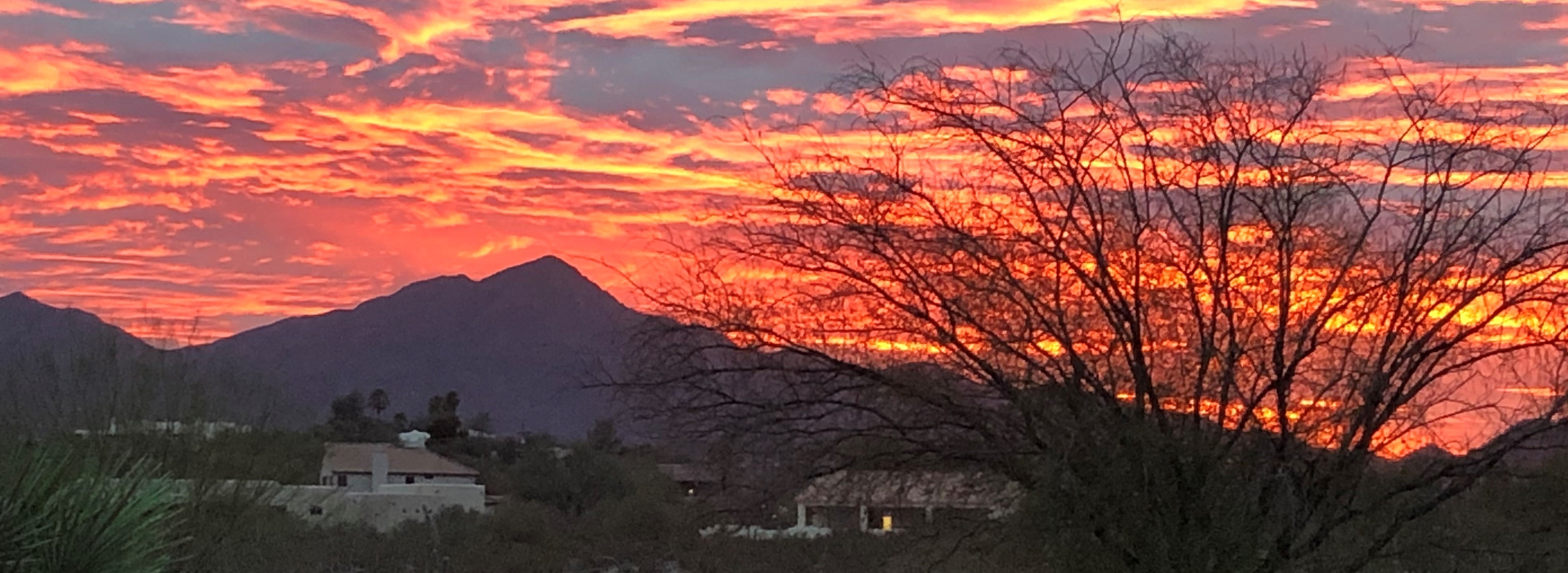 Backyard Sunset